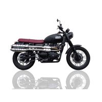GPR escape compatível com Triumph Scrambler 900 2006-2014, Deeptone Inox, Par de silenciosos de escape homologadas, com db killer removível e tubos de ligação específicos 